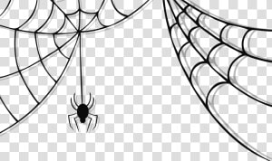 Collection Of Web   Transparent Background Spider Web Png  Png Download