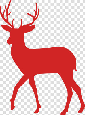 Red Deer Moose Vector Graphics Fallow Deer   Transparent Background Deer Silhouette Png  Png Download