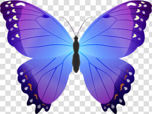 Butterfly Purple Transparent Png Clip Art   Butterfly Purple Clipart  Png Download