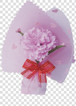 Transparent Pink Carnation Png   Carnation  Png Download