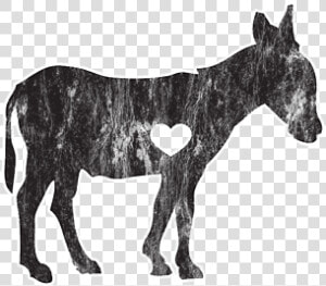 Burro  HD Png Download