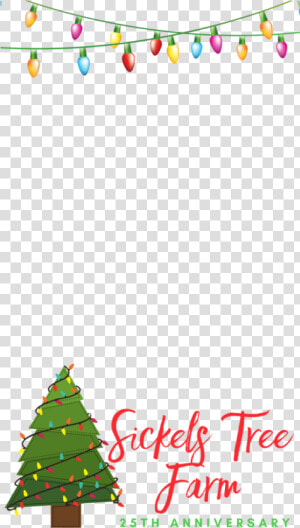 Sickels Tree Farm Indiana   Snapchat Geofilter Png Christmas  Transparent Png