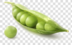 Pea Png Image Transparent   Pea  Png Download