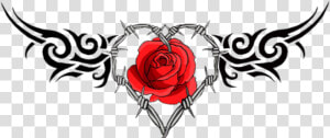 Rose Tattoo Clipart Picsart Png   Rose With Barbed Wire Tattoo  Transparent Png