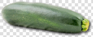 Zucchini Png  Transparent Png