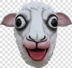 Transparent Sheep Head Png   Sheep Head Transparent Background  Png Download