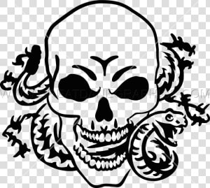 Skull Drawing At Getdrawings Com Free For   Skulls And Skeleton Snake  HD Png Download