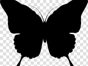 Transparent Gitarre Clipart   Silhouette Of Butterfly Png  Png Download