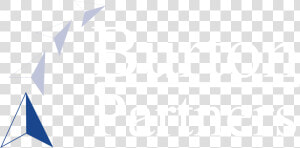 Burton Partners Logo   Skadden  HD Png Download