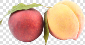 Peach Png Image   عکس با کیفیت هلو  Transparent Png