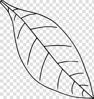 Autumn Leaf Color Drawing Black And White Under Cc0   Apple Leaf Clipart Black And White  HD Png Download