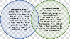 Transparent Pulmones Png   Espirometria Simple Y Forzada  Png Download