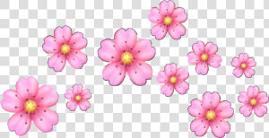  flower  heartcrown  flowercrown  pink  floweremoji   Iphone Pink Flower Emoji  HD Png Download