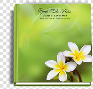 Plumeria Funeral Guest Book  HD Png Download