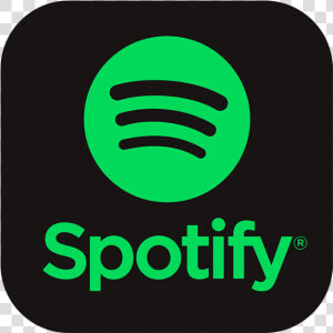 Spotify Logo   Small Spotify Logo Transparent  HD Png Download