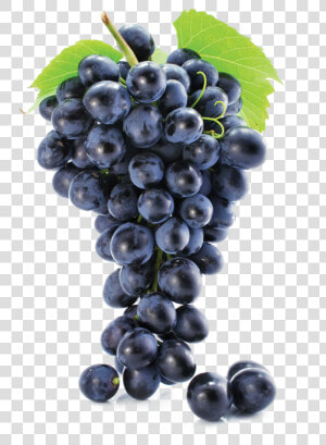 Grapes Free Png   Grapes Png  Transparent Png