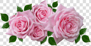 Rosas  Florales  Acuerdo  Romántico  Jardín   Pink Flower Arrangement Png  Transparent Png