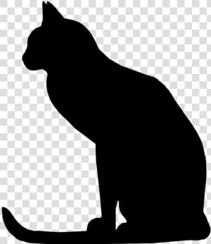 Attentive Cat Silhouette  Cat With Long Tail Silhouette   Raccoon  HD Png Download