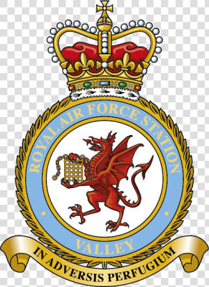 Badge For Raf Valley   No 100 Squadron Raf  HD Png Download