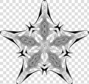 Visual Arts christmas Ornament starfish   Grayscale  HD Png Download