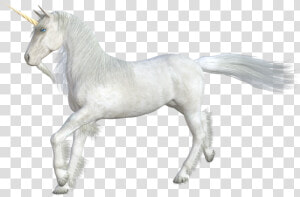 Unicorn  Horse  Mythical Creatures  Horn  Fairy Tales  HD Png Download