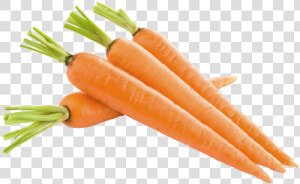 Carrot Vegetable Food Health Fruit   Carrot Fruit Png  Transparent Png