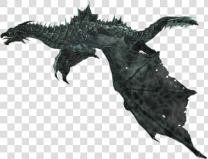 The Elder Scrolls V   Elder Scrolls Dragon Png  Transparent Png