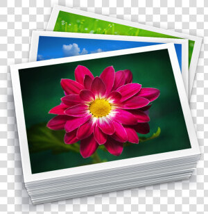 Apertureexpert 20120612001651 Library Icon   Iphoto Library  HD Png Download