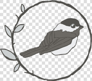 Chickadee Png  Transparent Png