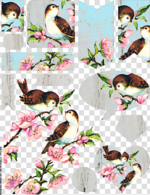 Free Vintage Bird Collage Sheet   Vintage Bird No Background  HD Png Download