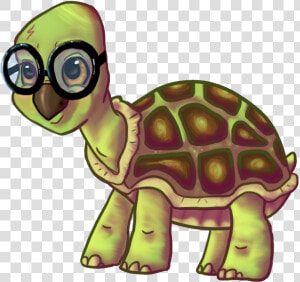 Old Turtle Png   Old Sea Turtle Cartoon  Transparent Png