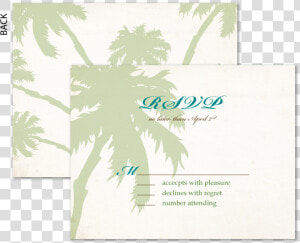 Retro Palms Boarding Pass Rsvp data caption   Palm Tree  HD Png Download