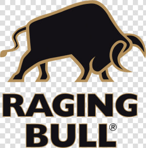 Raging Bull Logo  HD Png Download