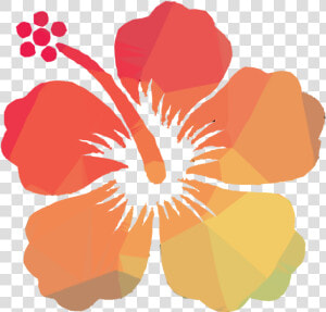 Transparent Hibiscus Clipart   Flor De Cayena Vector  HD Png Download