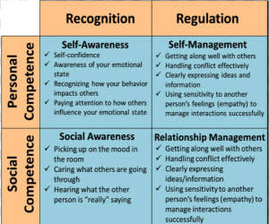 Daniel Goleman Emotional Intelligence Quadrants  HD Png Download