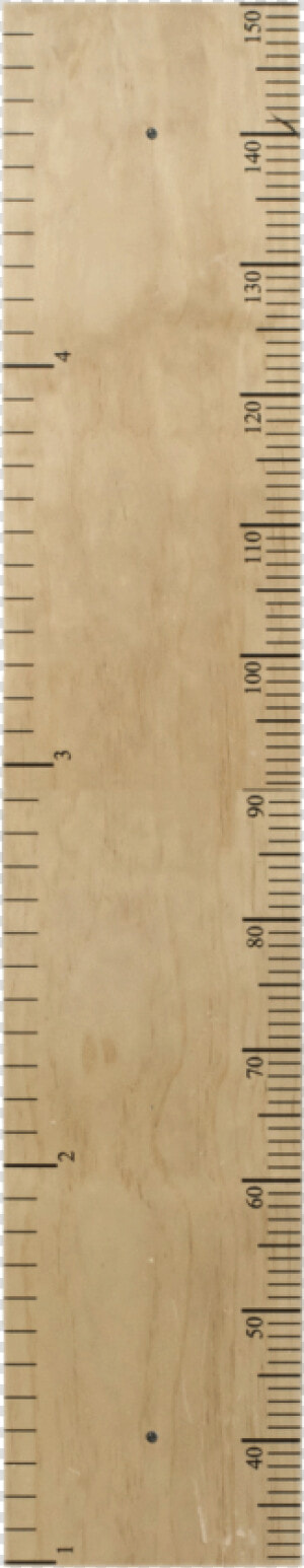 Plank  HD Png Download