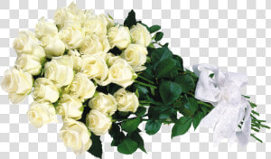 Букет Белых Роз Png   Bunch Of White Roses  Transparent Png