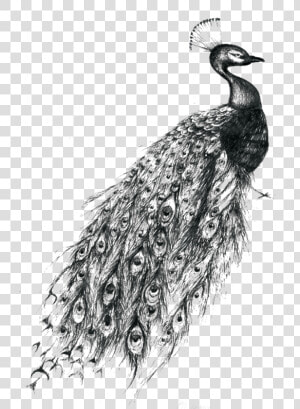 Bansuri With Peacock Feather   Black And White Peacock Tattoo Designs  HD Png Download