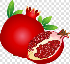 Pomegranate Clipart Berry   Shana Tova Free  HD Png Download