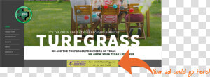 Advertise On The Turfgrass Producers Of Texas Website   Grass  HD Png Download