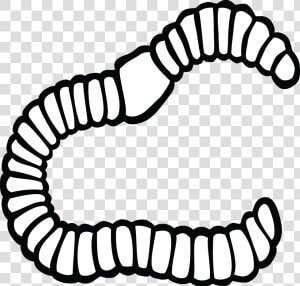 Earthworm Clip Art   Worm Black And White Clipart  HD Png Download