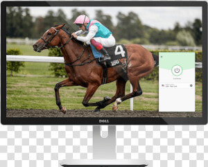 Watch Horse Racing Live On Any Device With Expressvpn   Enable Racehorse  HD Png Download