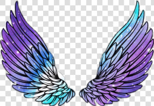 Wings Angel Angelwings Space Galaxy Stars Star Wing   Galaxy Wings Png  Transparent Png