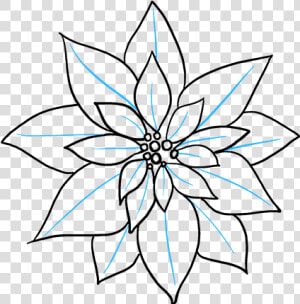 How To Draw Poinsettia   Drawing Of A Poinsettia  HD Png Download