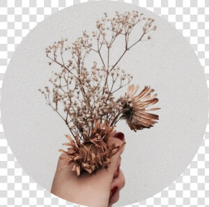 Tumblr Aesthetic Brown Flower Flowers Png Brown Tumblr   Brown Flower Aesthetic  Transparent Png