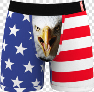 Men S Eagle Flag Ball Hammock Boxer Briefs   Shinesty Eagle Underwear  HD Png Download