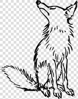 Wolf Png Clipart   Outline Of Fox And Grapes  Transparent Png