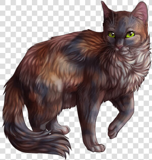  warriorcats  warrior  cats  warriors  cat  freetoedit   Tawnypelt Warrior Cat  HD Png Download