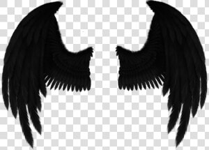 Drawing Fallen Angel Art   Drawing Black Angel Wings  HD Png Download