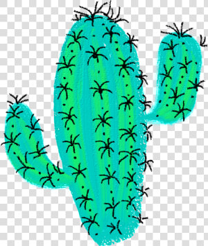 Transparent Desert Cactus Png   Desert Cactus Drawing  Png Download